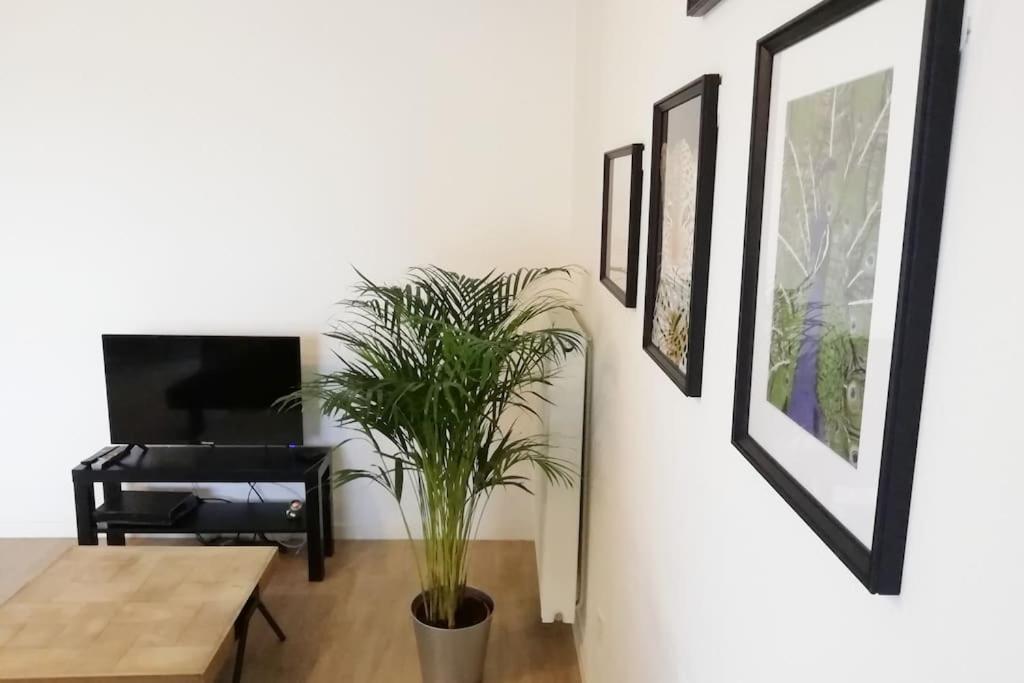 Appartement Proche Chu Avec Balcon Et Parking Lille Exterior photo